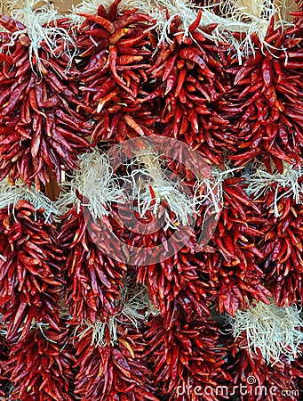 Red Chili Pepper Strands Stock Photo