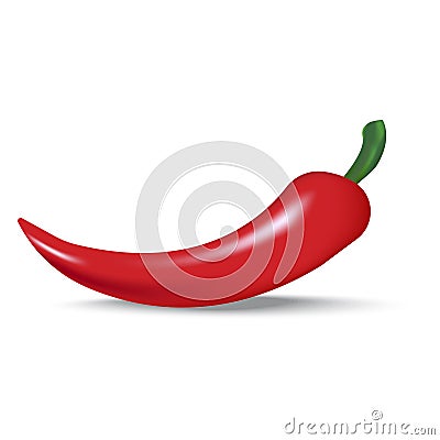 Red chili peppers. Hot spice illustration. Realistic pepper with a green stem. Jalapeno pepper. Vector illustration Vector Illustration
