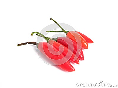 Red chilies on line Stock Photo