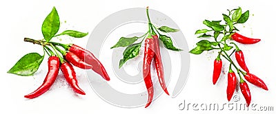 Red chili peppers. Set of watercolor illustrations. Design elements. Hot spices. Cartoon Illustration