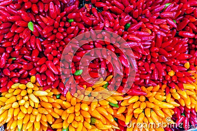 Red Chillies Background color image Stock Photo