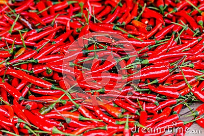 Red chillies background. Pile. Whole background of red chillies. Stock Photo