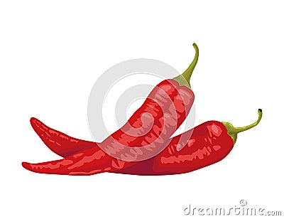 red chillis hot vegetables Vector Illustration
