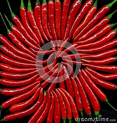 Red chily peppers Stock Photo