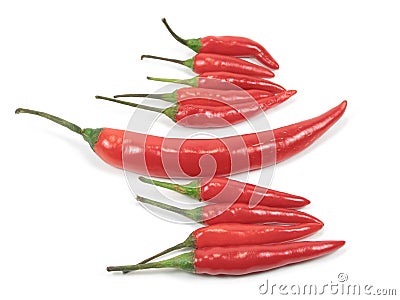 Red Chli pepper standout Stock Photo