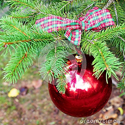 Red Christmas ball with checkered ribon Stock Photo