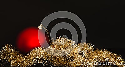 Red Christmas ball on golden garland on black background. Simple holiday decoration theme. Merry Christmas greeting card Stock Photo