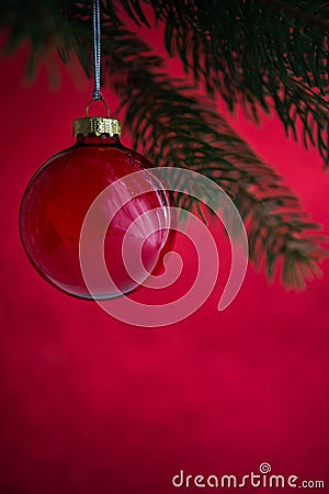 Red christmas ball on the xmas tree on red bokeh background. Merry christmas card. Stock Photo