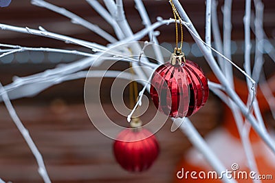 Red Christmas balls on white branches Stock Photo