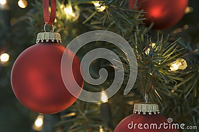 Red Christmas Baubles On Tree Stock Photo