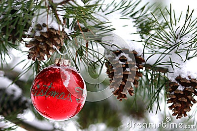 Red Christmas decoration on snow-covered pine tree outdoors Stock Photo