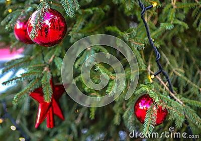 Red Christmas ornament hanging. Red ball in tree. Stock Photo