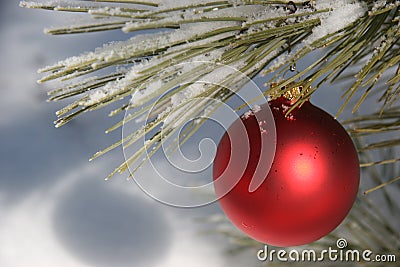 Red Christmas Ornament in Snowy Pine Tree Stock Photo