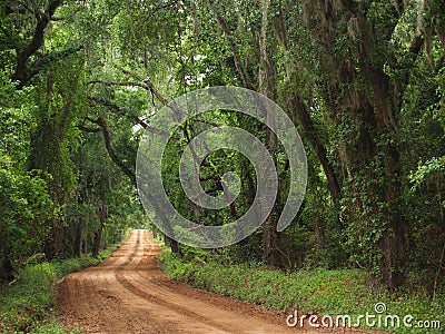 Red Clay Canopied Country Road Stock Photo