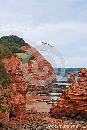 Red cliffs in Devon. Stock Photo