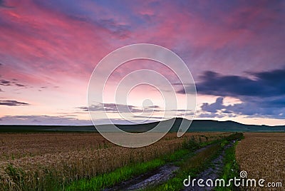 Red clouds at sunset and crop field Stock Photo