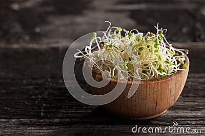 Red Clover Sprouts in a Wooden bowl Stock Photo