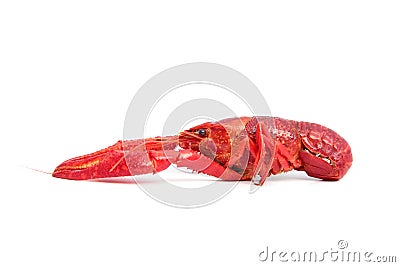 Red cooked crayfish Stock Photo