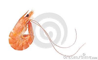 Red cooked prawn or tiger shrimp isolated on white background Stock Photo