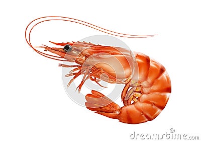 Red cooked prawn or tiger shrimp isolated on white background Stock Photo