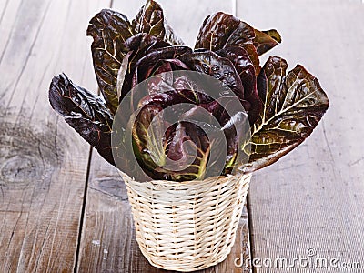 Red cos lettuce on wooden background Stock Photo
