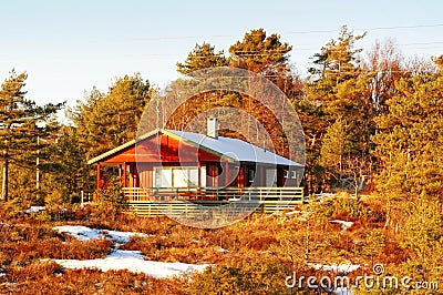 Red cottage among Norwegian spruce and pine trees in winter Stock Photo
