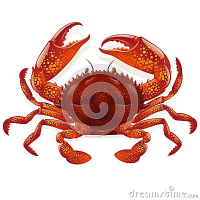 Red crab Vector Illustration