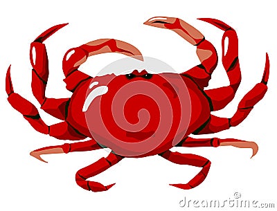 Red Crab Vector Illustration