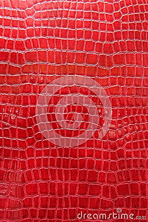 Red crocodile leather Stock Photo