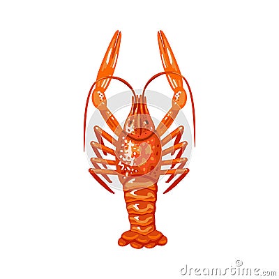 Red crustacean. Animal crawfish. Vector object on a white background. Vector Illustration