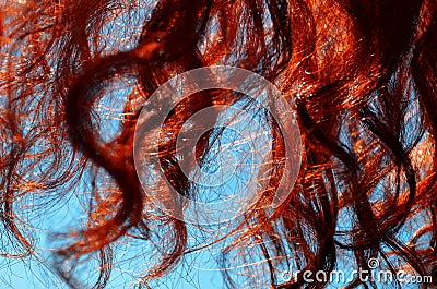 Red curly curls close-up Stock Photo