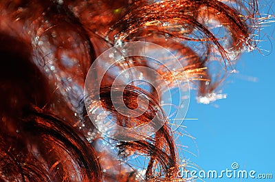 Red curly curls close-up Stock Photo