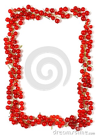 Red currant border Stock Photo