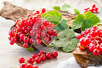 Red currant in a bowl, berries and leaves Stock Photo