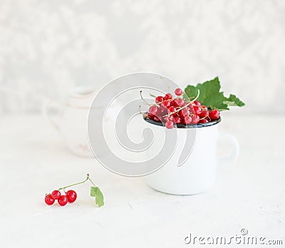 Red currant in a cuo on white background Stock Photo