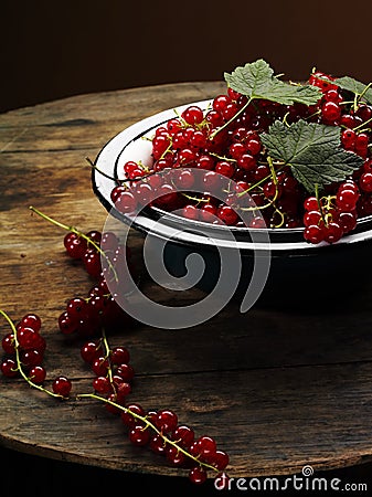 Red currant Stock Photo