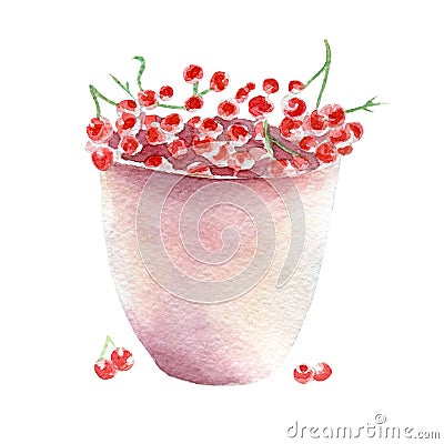 Red currant illustration. Hand drawn watercolor on white background. Cartoon Illustration
