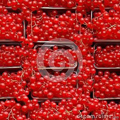 Red Currant Packaging Seamless Pattern, Redcurrant in Paper Boxes, Many Red Currant Berries Stock Photo