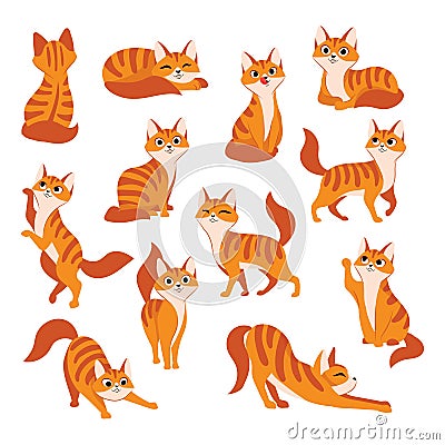 Red cute cat in different poses. Vector cartoon flat illustration. Funny playful kitty isolated on white background Vector Illustration