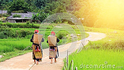 Red Dao Hilltribe women in Sapa Editorial Stock Photo