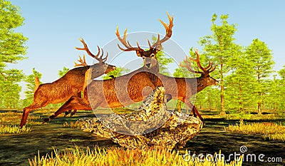 Red Deer jump Dead Tree Stock Photo