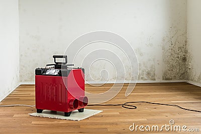 Red dehumidifier in an empty room with a toxic mold and mildew problem Stock Photo