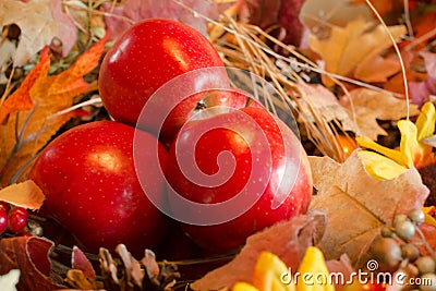 Red Delicious Apples Stock Photo