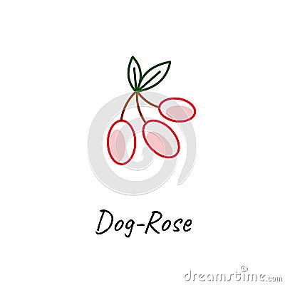 Red dog rose vector icon on white. Vector Illustration