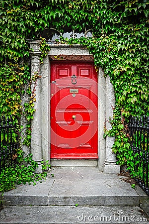 Red Door and Ivy Stock Photo