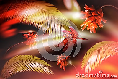 Red dragonfly on a background of fern and red flowers. Nature of the rain forest. Stock Photo