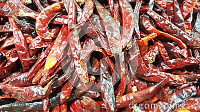 Red dried chillies background. spices Stock Photo
