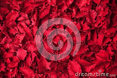Red dried flowers aromatherapy potpourri background Stock Photo