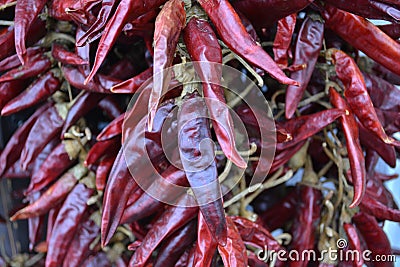Red dried hot chily paprika from Hungary Stock Photo