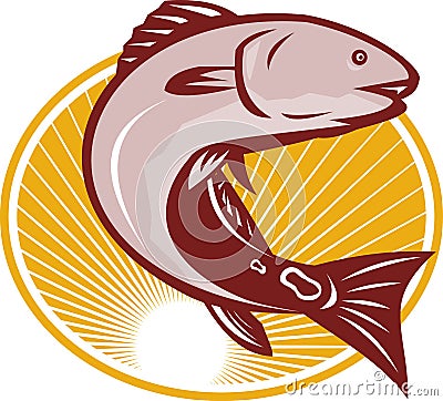 Red Drum Spot Tail Bass Fish Retro Vector Illustration